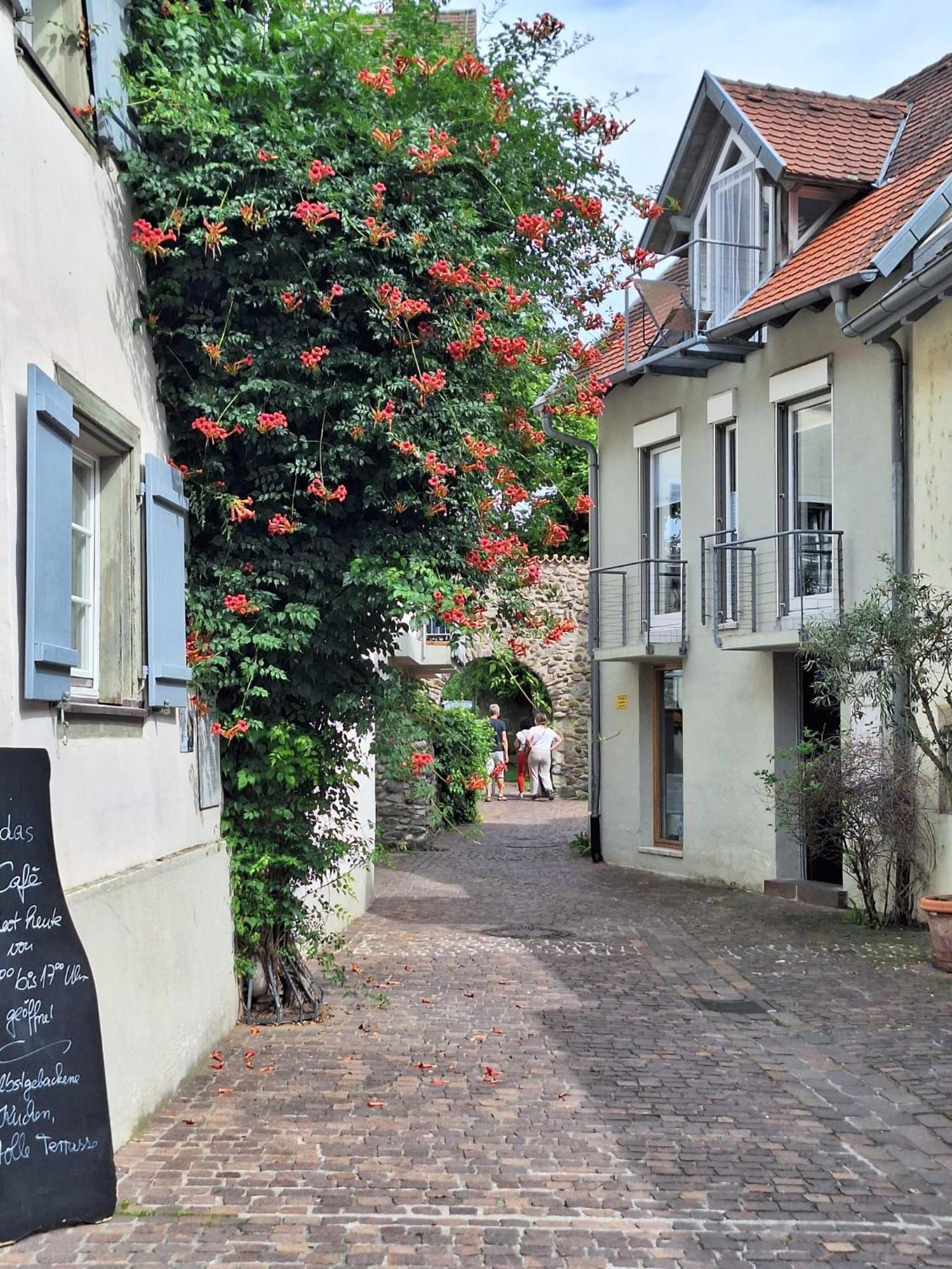 Ferienwohnung Ueberblick Radolfzell am Bodensee Bagian luar foto